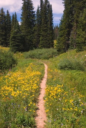 Hikercise outdoor activity