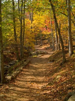 Hikercise outdoor activity
